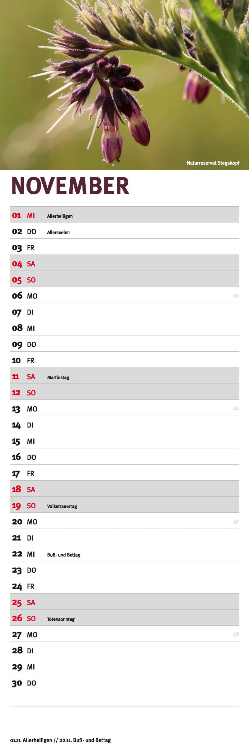 Westerwald Streifenkalender -01